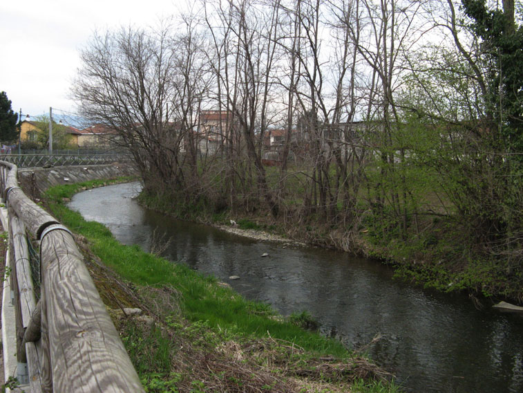 6 aprile 2014 San Francesco al Campo-Costeggiando il torrente Banna