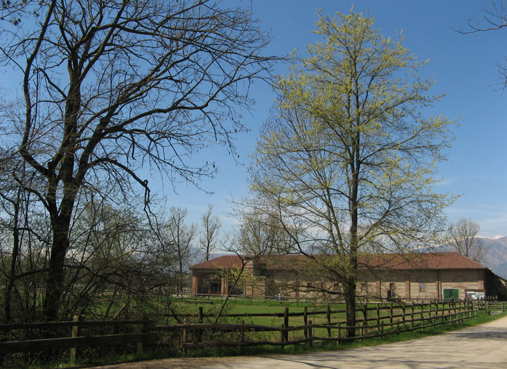 8 aprile 2015 Parco La Mandria-Cascina Vittoria