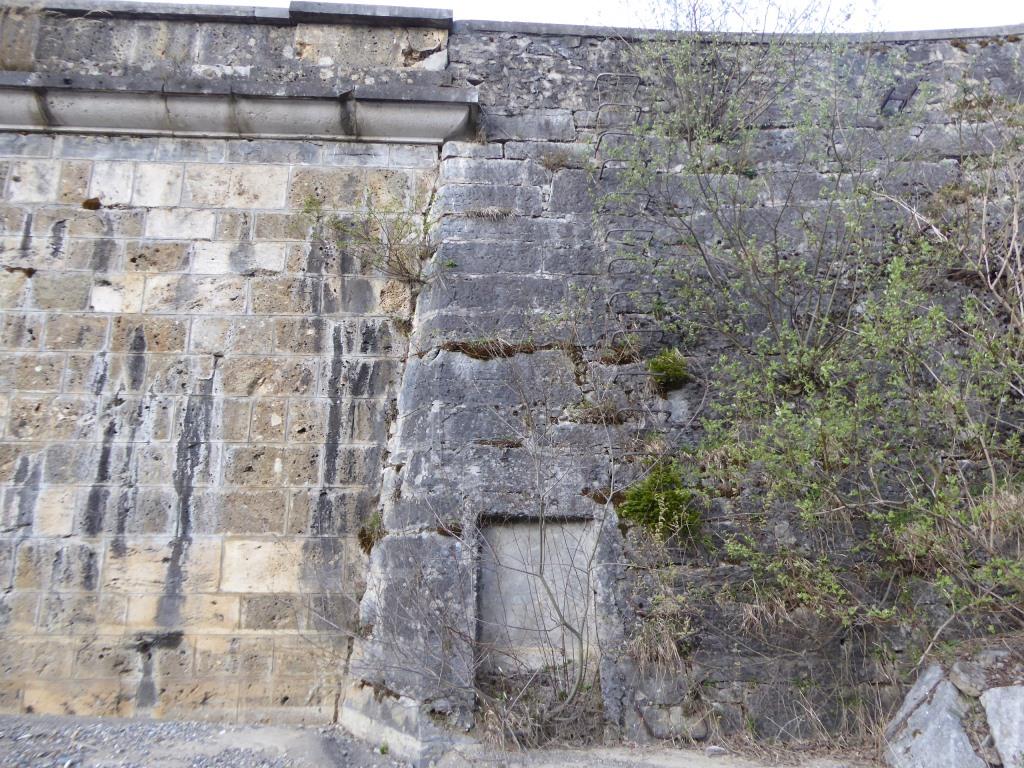 P1130343.JPG