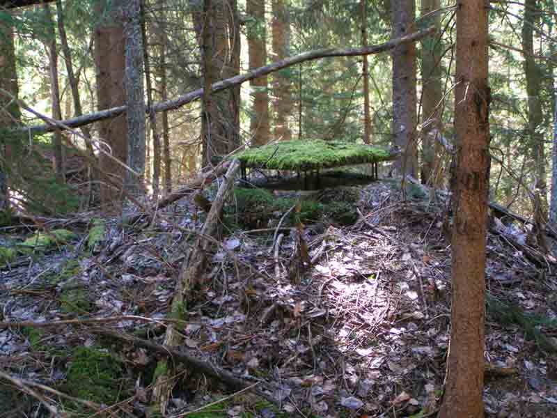 PICT0220.JPG