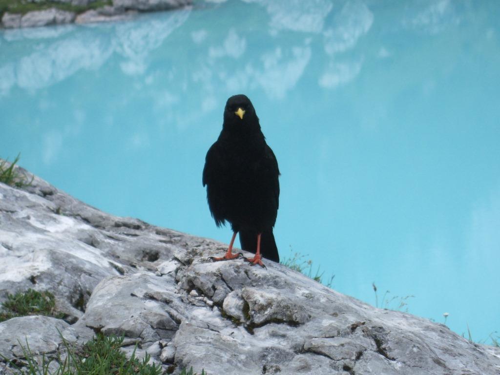 lago-sorapiss0292.JPG