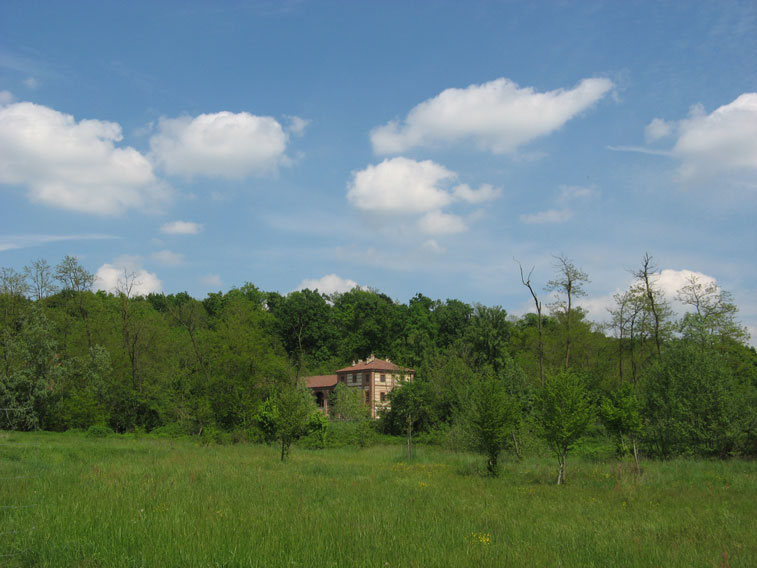 30 aprile 2015 Parco La Mandria-La cascina Rubbianetta fra le fronde
