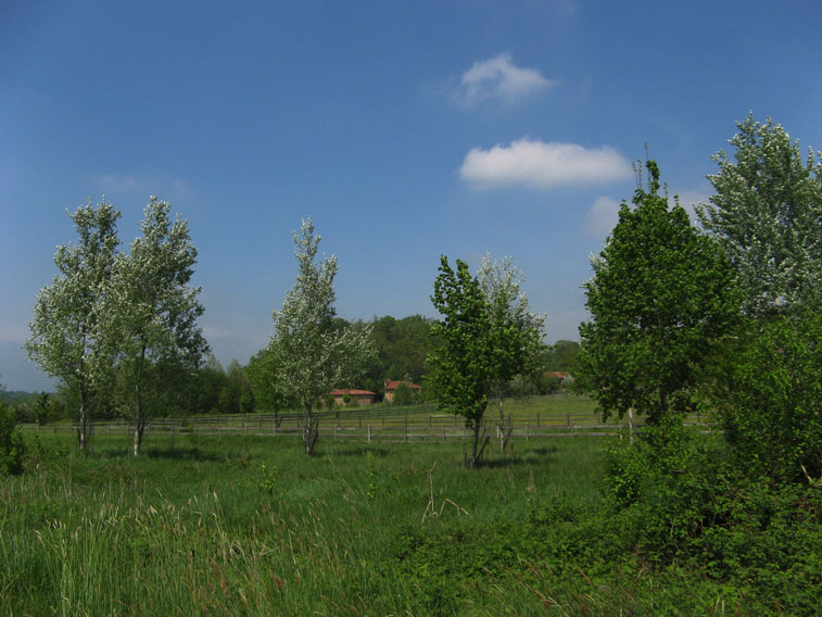 2 maggio 2015 Parco La Mandria-San Giuliano nel verde