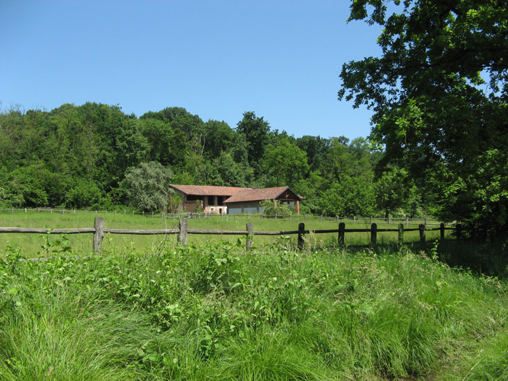 16 maggio 2015 Parco La Mandria-Nel verde la cascina Romitaggio