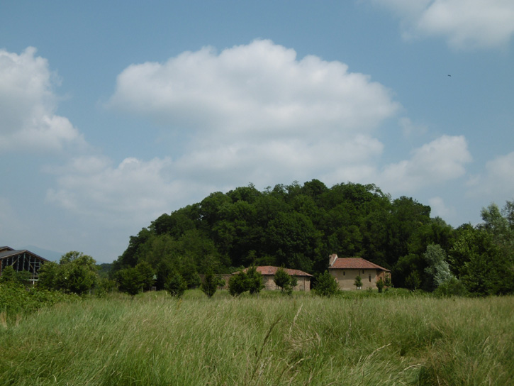30 Maggio 2015 Parco La Mandria-San Giuliano