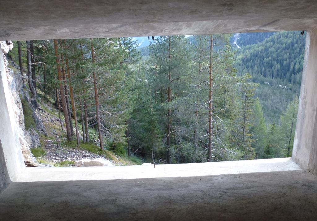 P1060479.JPG