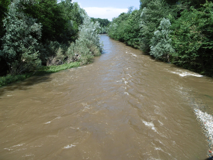 8 giugno 2015 Parco La Mandria-Il torrente Ceronda dopo la pioggia