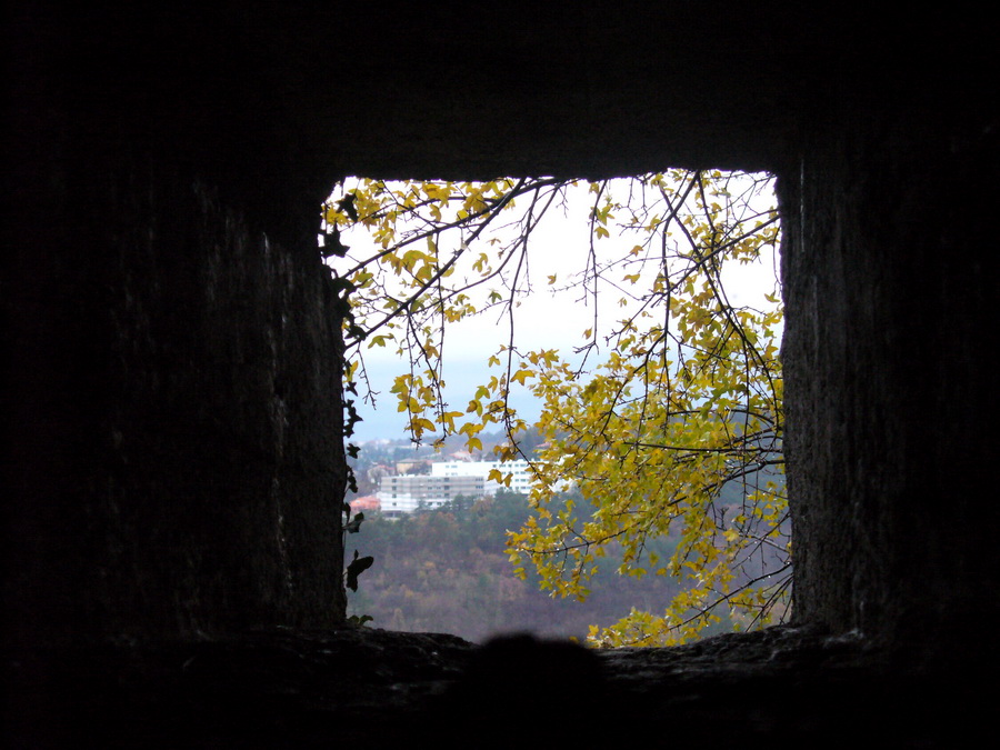 Monte Lesco.jpg
