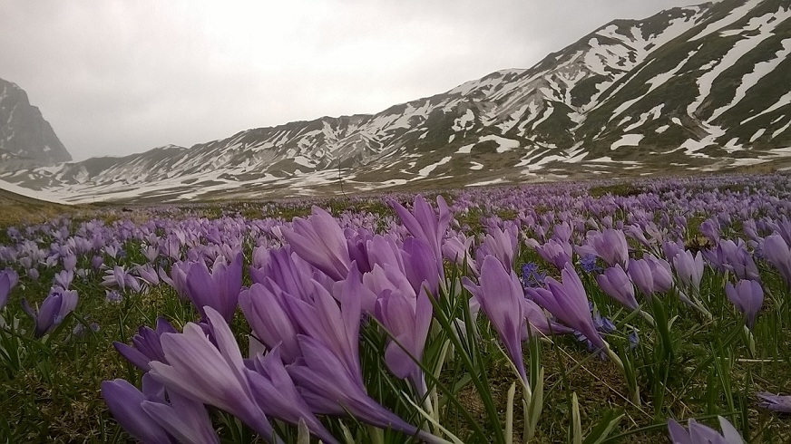 Campo Imperatore.jpg