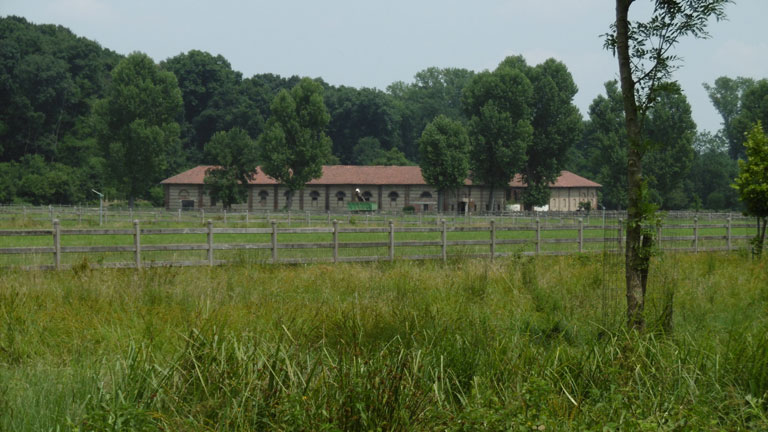 18 giugno 2015 Parco La Mandria-Nel verde la Cascina Vittoria