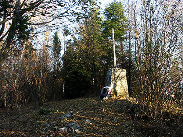 7838A.jpg cippo m. Cum_3.jpg