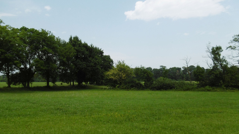 5 luglio 2015 Parco La Mandria-Scorcio di verde
