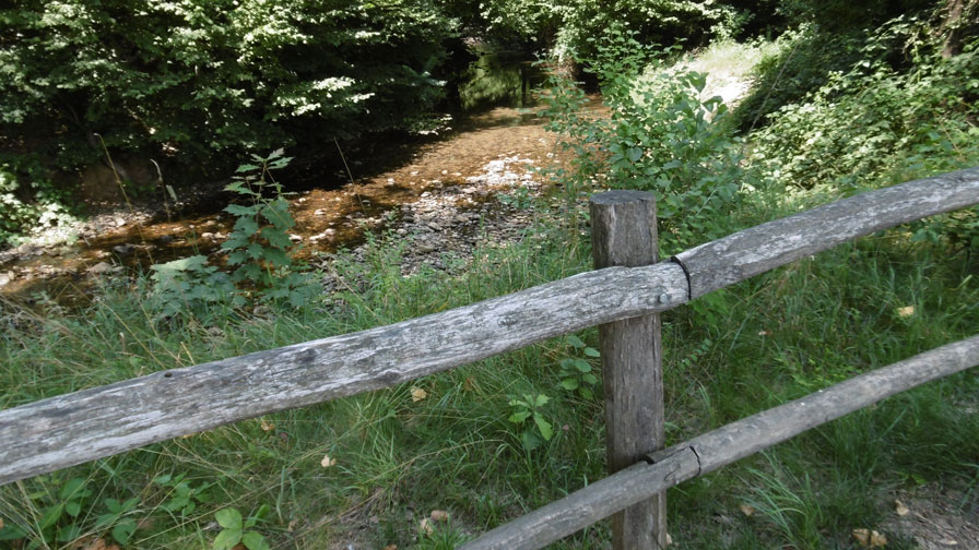 Parco La Mandria 12 luglio 2015-Verde ed acqua