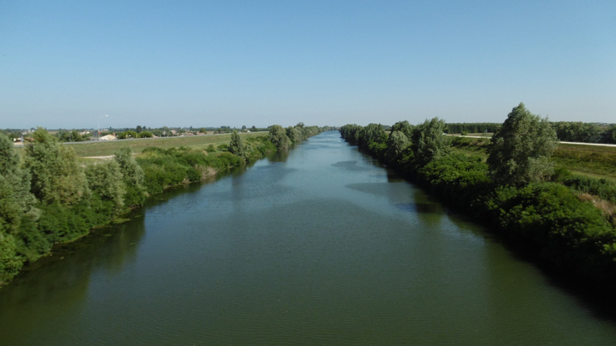 3 agosto 2015-Il Brenta a Corte di Piove di Sacco