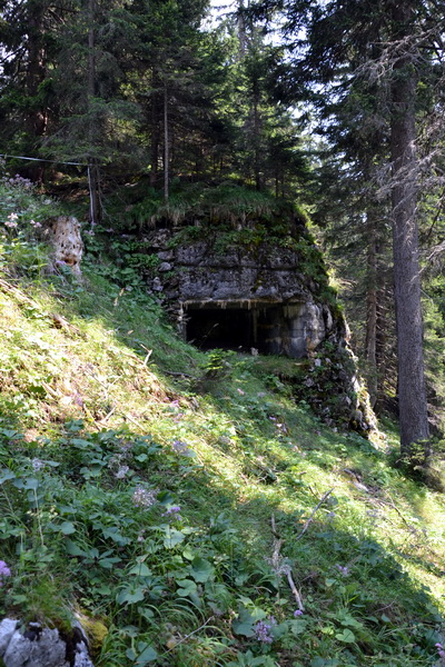Malloppo arma 1