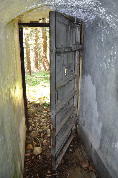 Ingresso