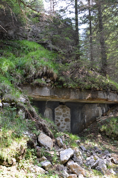 Ingresso basso con malloppo arma 1