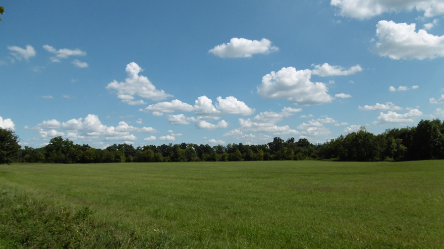 17 agosto 2015 Parco La Mandria-Verde,azzurro e nuvole bianche