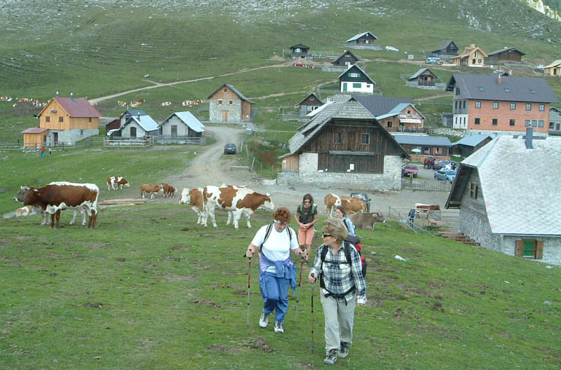 la sella Bistizza  1720 mt. monticata ai piedi del monte Osternig