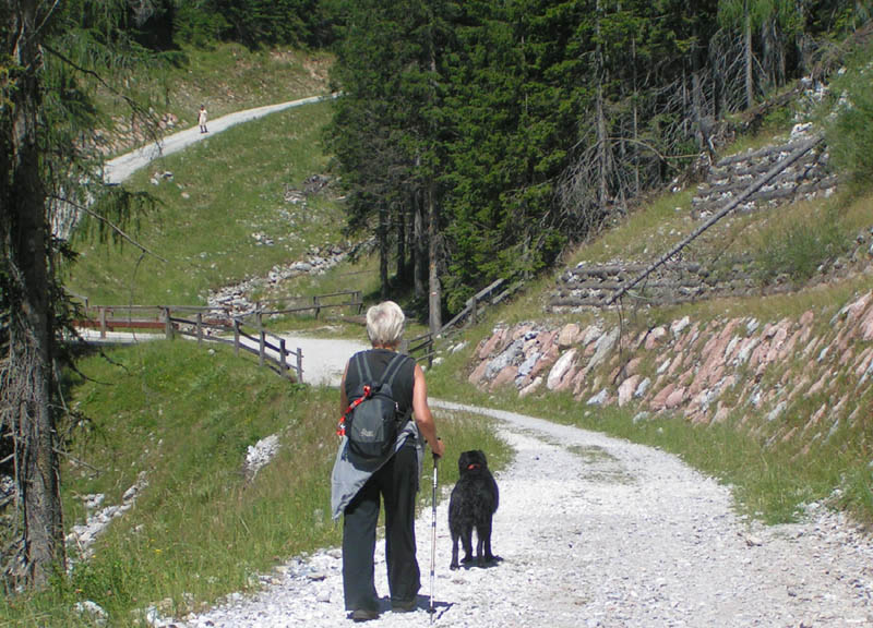 la nuova strada che porta dai 1200 mt. del parcheggio al rif. Nordio ricostruito