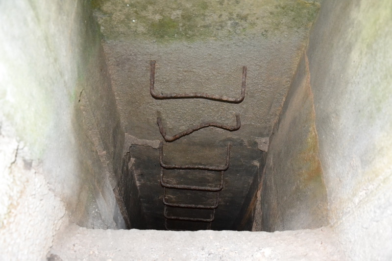 SN003.jpg
