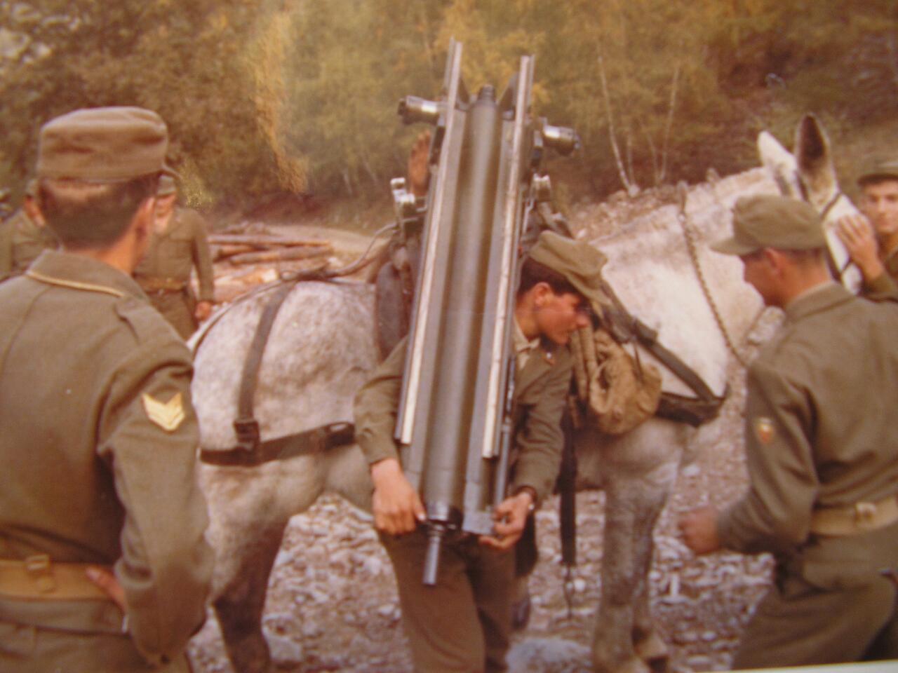 sil 003.jpg