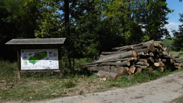 19 settembre 2015 Parco La Mandria-Scorcio
