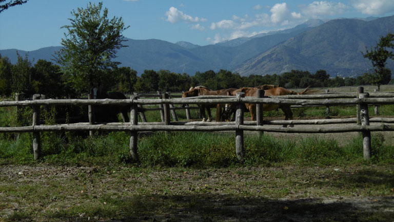 21 settembre 2015 Parco La Mandria-Scorcio con alpi e cavalli