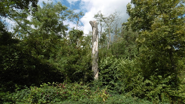 23 settembre 2015 Parco La Mandria-Scorcio
