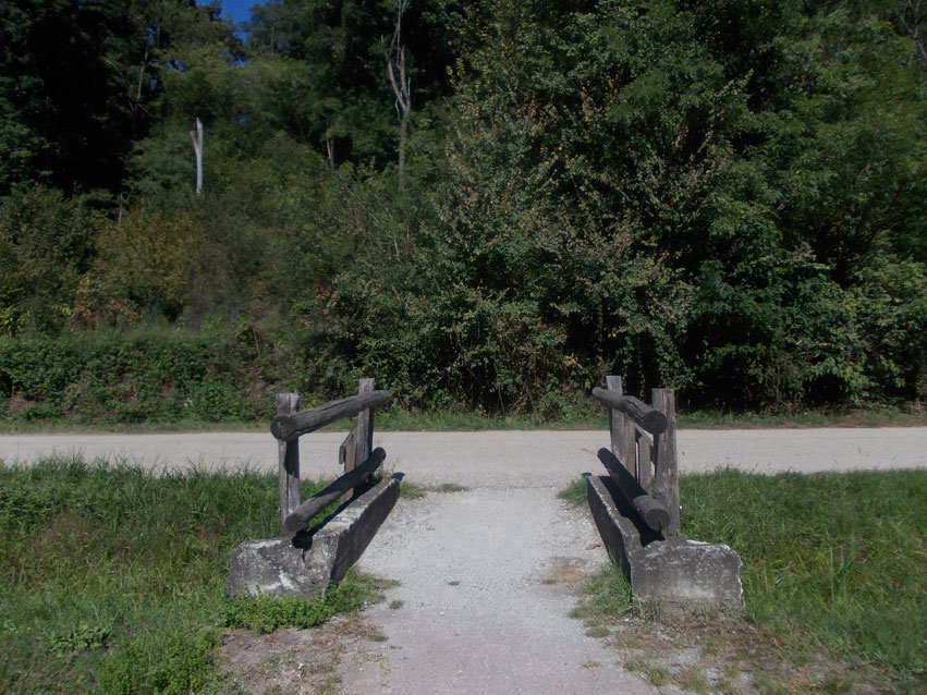 26 settembre 2015 Parco La Mandria-Scorcio