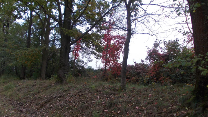 12 ottobre 2015 Parco La Mandria-Scorcio autunnale