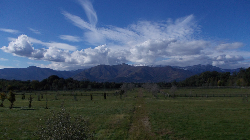 16 ottobre 2015 Parco La Mandria-Scorcio