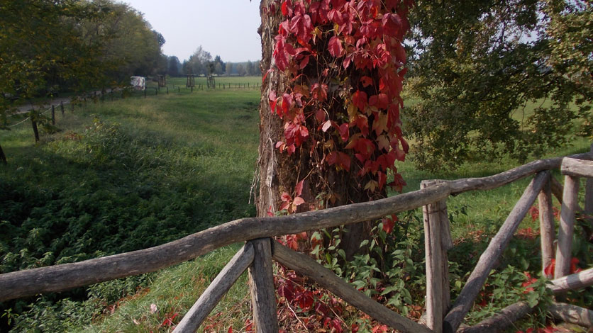 21 ottobre 2015 Parco La Mandria-Scorcio