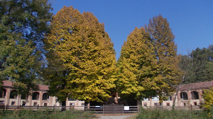 23 ottobre 2015 Parco La Mandria-Ingresso della Cascina Rubbianetta