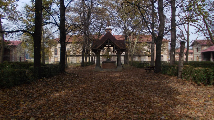 24 ottobre 2015 Parco La Mandria-Tappeto di foglie alla cascina Peppinella