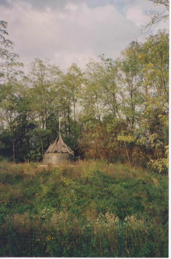 Immagine-50.jpg