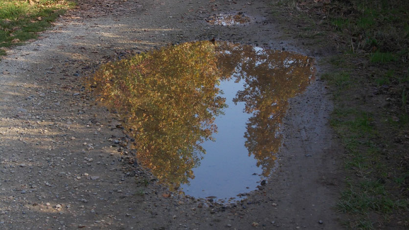 1° Novembre 2015 Parco La Mandria-Pozzanghera