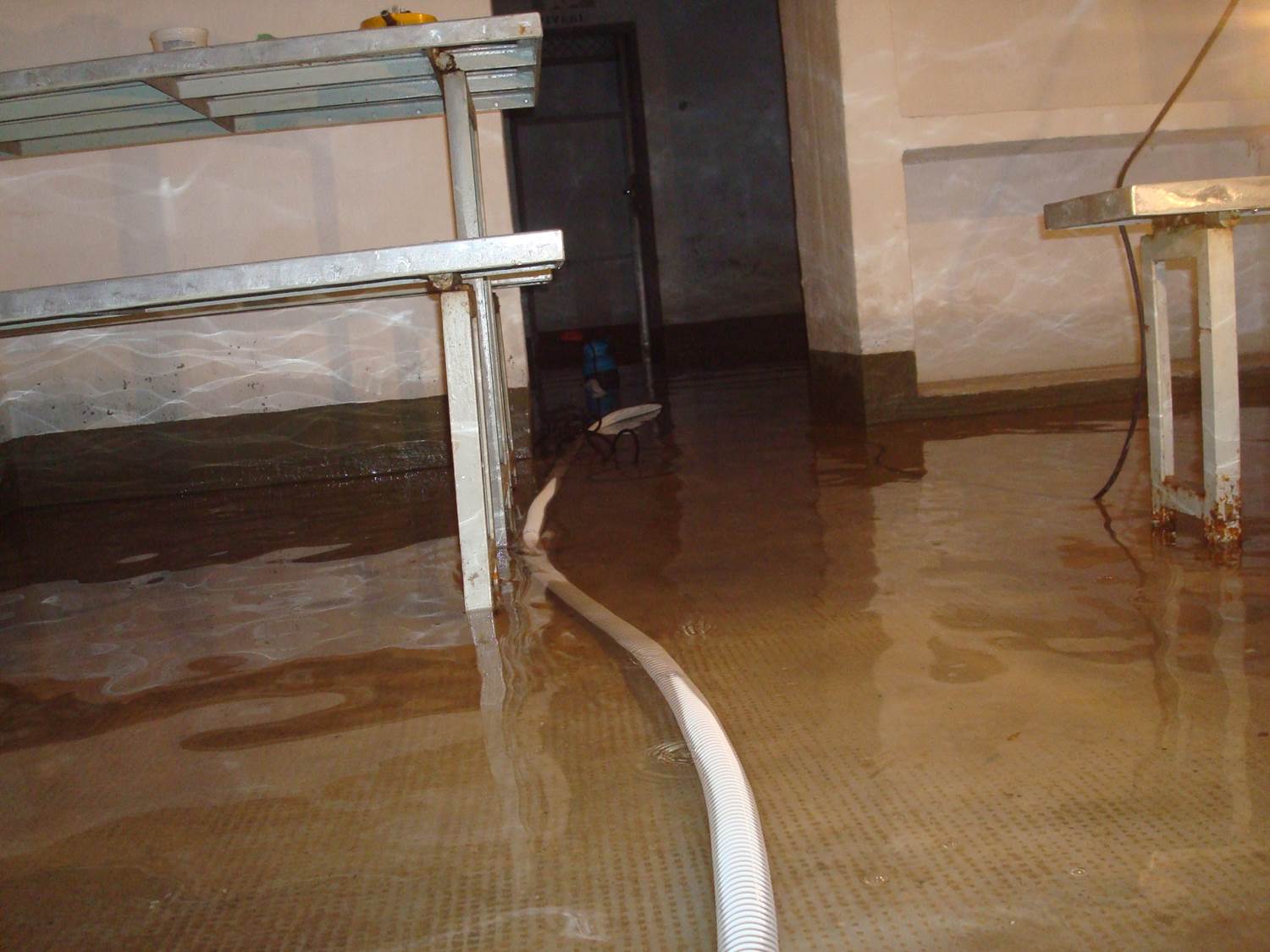 Immagine 2 - Pco.jpg