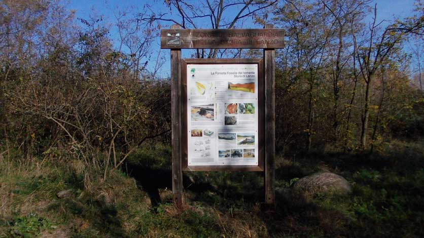 8 novembre 2015-Pannello informativo relativo alla foresta fossile