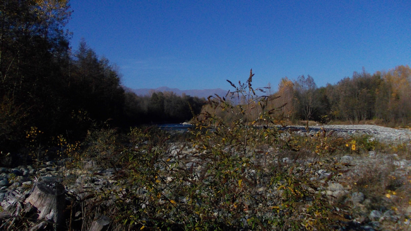 Alveo del torrente Stura di Lanzo-Sito dei resti della foresta fossile