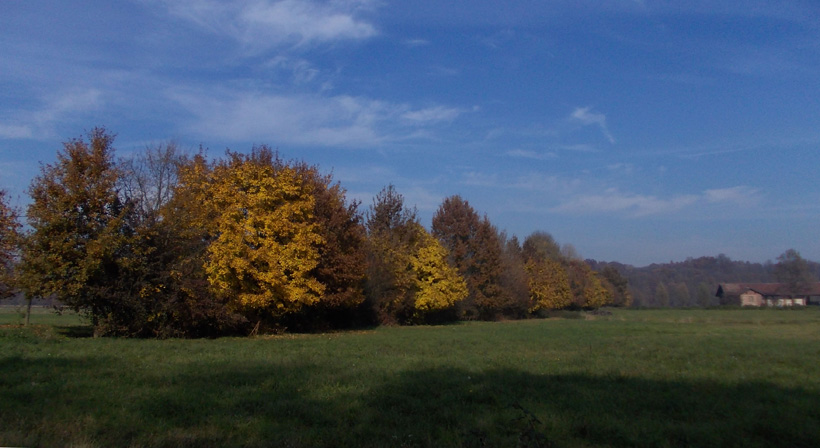 14 novembre 2015 Parco La Mandria-Scorcio