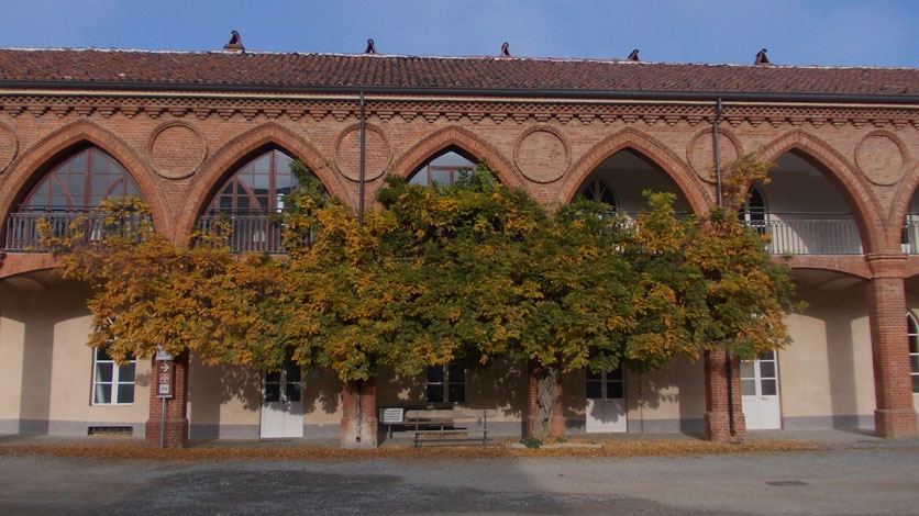 16 novembre 2015 Parco La Mandria-Il glicine di Borgo Castello