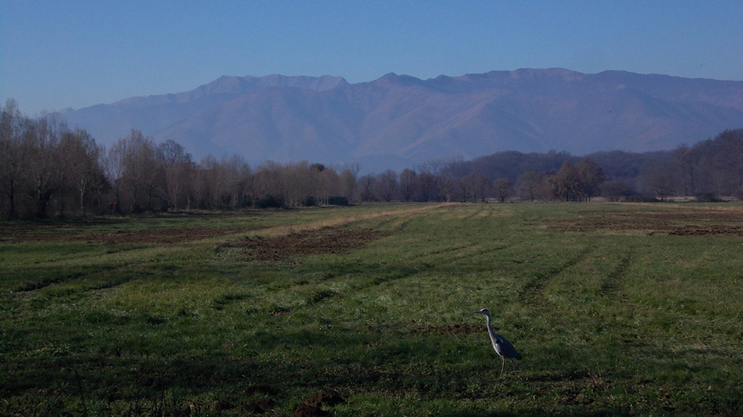28 novembre 2015 Parco La Mandria-Scorcio verso le alpi