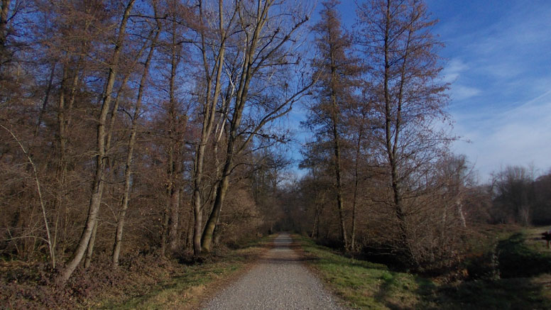1° Dicembre 2015 Parco La Mandria-Scorcio