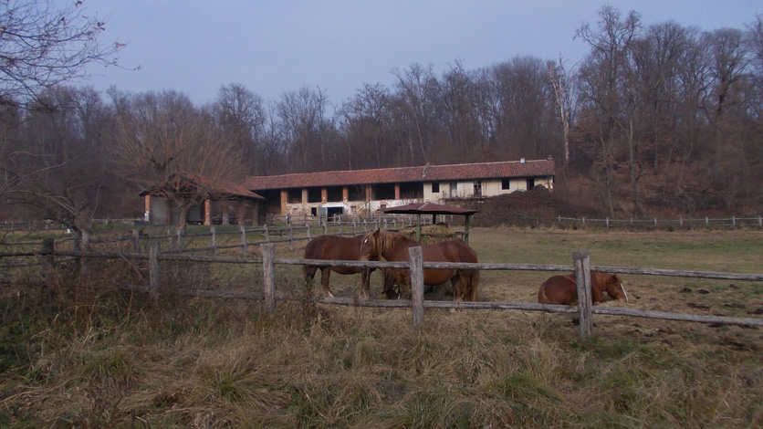 5 dicembre 2015 Parco La Mandria-Scorcio sulla cascina Romitaggio