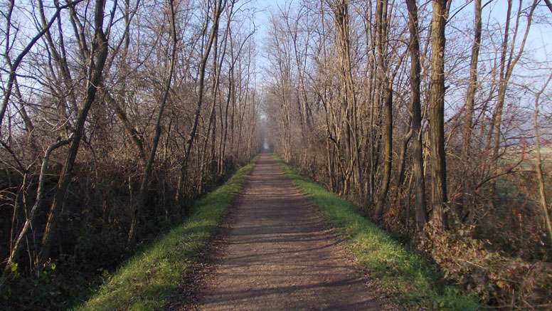 9 dicembre 2015  Parco La Mandria-Scorcio