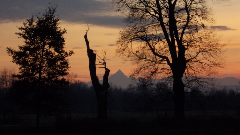 15 dicembre 2015 Parco La Mandria-Tramonto e Monviso