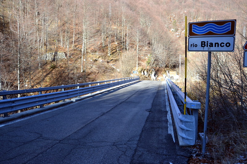 Tanam01.jpg