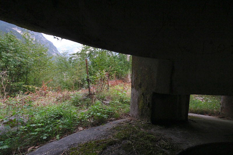 post.mitragliatrice.forte_col_badin (23).jpg