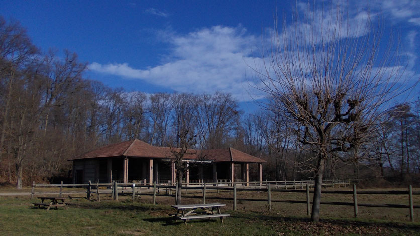 6 gennaio 2016 Parco La Mandria-Cascina Vittoria-Stalla e nuvole